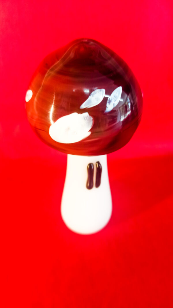 Hongo Magico - Imagen 4