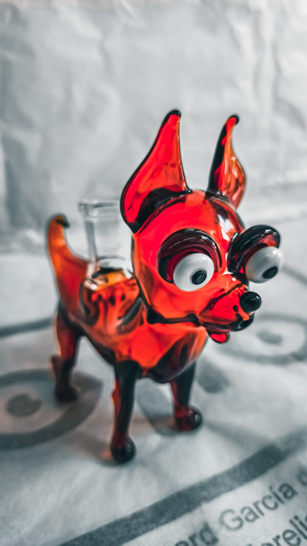 Perro Chihuahua Bubbler